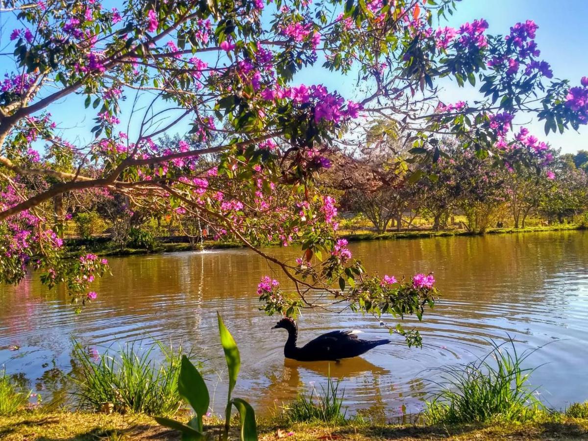 Pousada Chales Do Retiro - Serra Do Cipo Mg Жаботикатубас Экстерьер фото